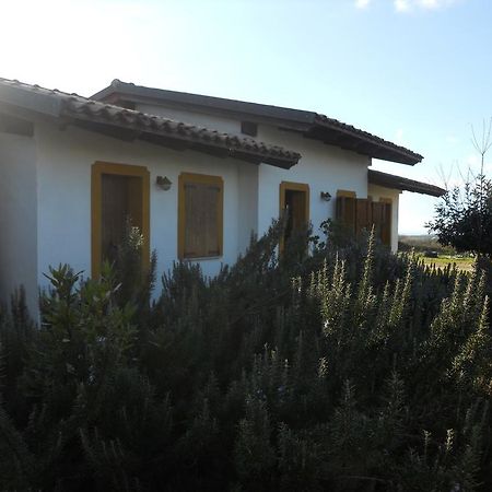 Agriturismo Su Nuratolu Villa Sagama Exteriör bild