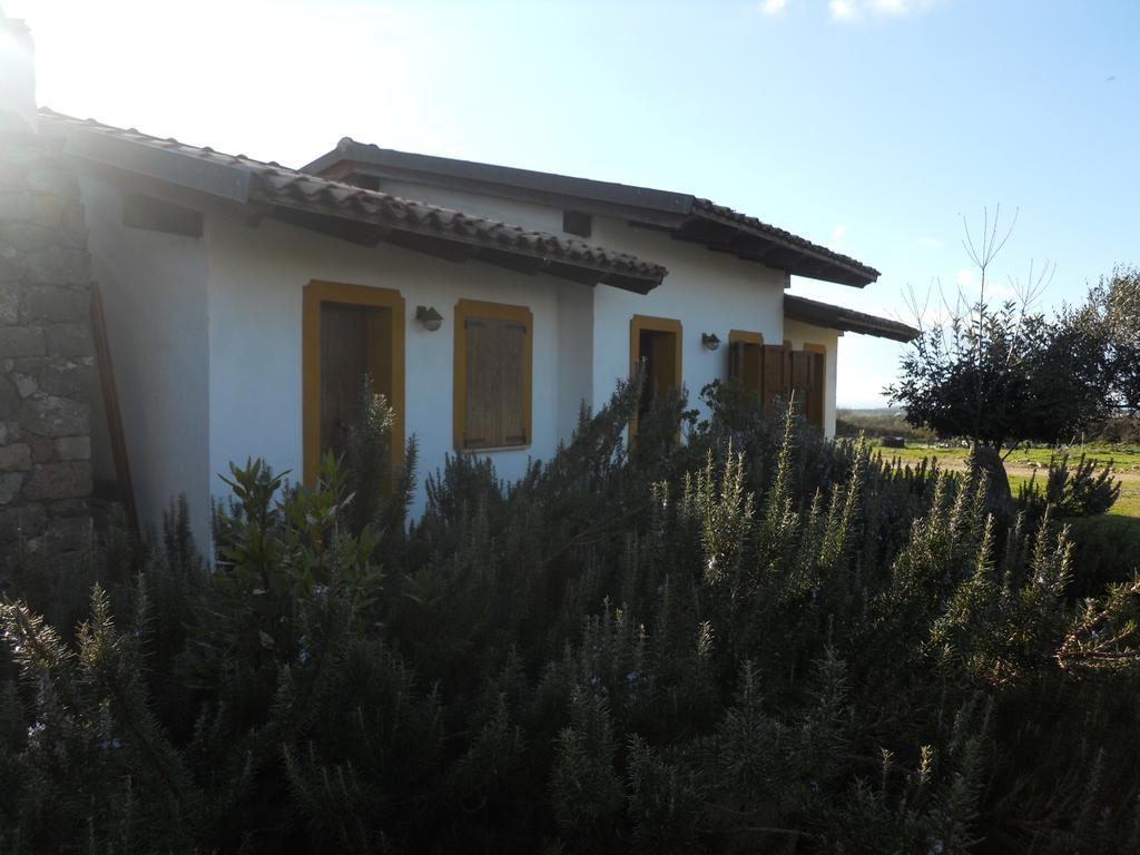 Agriturismo Su Nuratolu Villa Sagama Exteriör bild